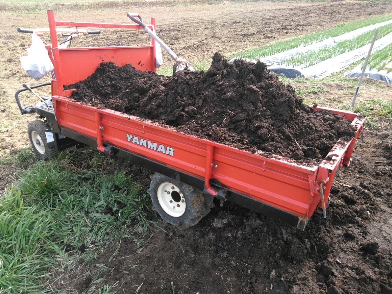 一輪車による堆肥撒きが苦行だったので、撒き方を考えてみた - 故きを温ねて新しきを知る人ぞ知る