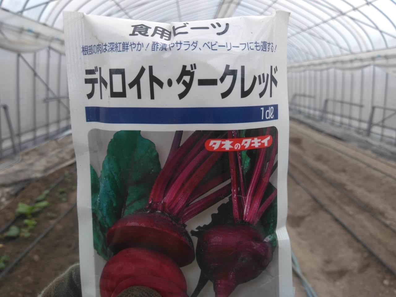 ビーツやります 故きを温ねて新しきを知る人ぞ知る