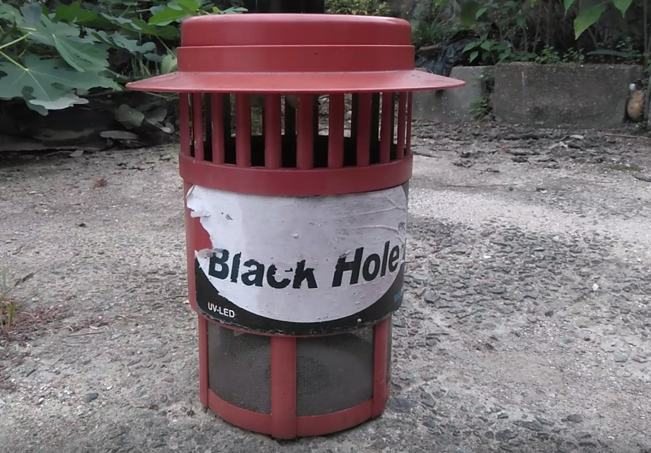 ウリノメイガ 成虫 対策にはこれ 故きを温ねて新しきを知る人ぞ知る ウリノメイガ 成虫 対策にはこれ 故きを温ねて新しきを知る人ぞ知る